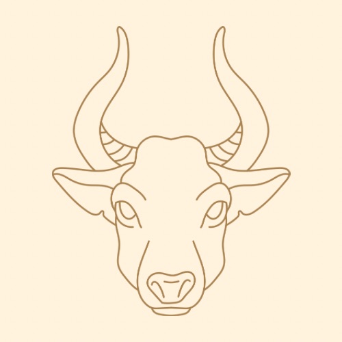 Taurus the bull